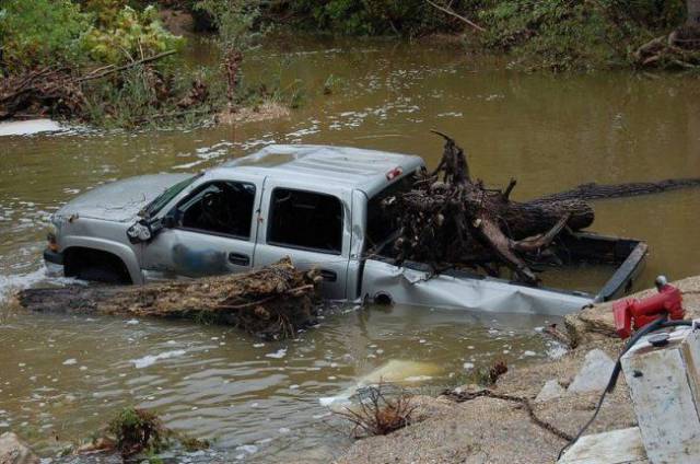 daily picdump weekend edition 64 pics 31.html - 64 HD Photos | Premium Gallery 2017