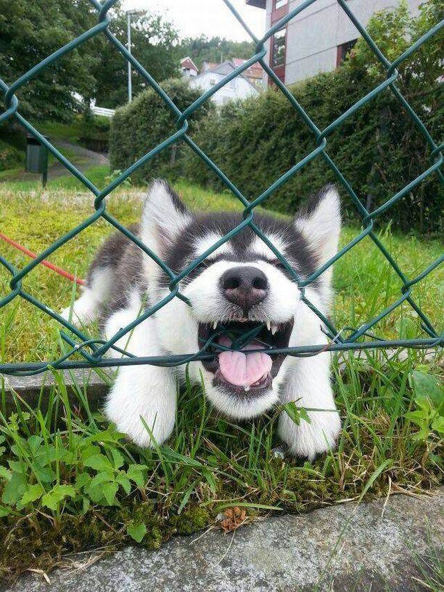 daily picdump weekend edition 64 pics 31.html - 64 HD Photos | Premium Gallery 2017