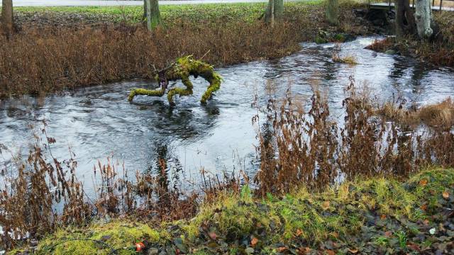 daily picdump 104 pics 13.html - 104 HD Photos | Premium Gallery 2017