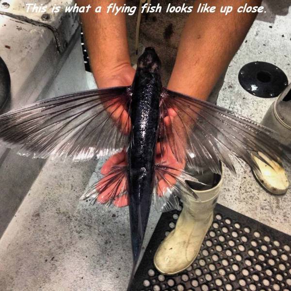 daily picdump 104 pics 13.html - 104 HD Photos | Premium Gallery 2017