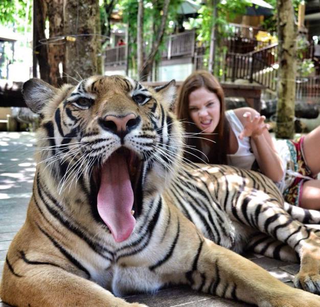 daily picdump 104 pics 13.html - 104 HD Photos | Premium Gallery 2017