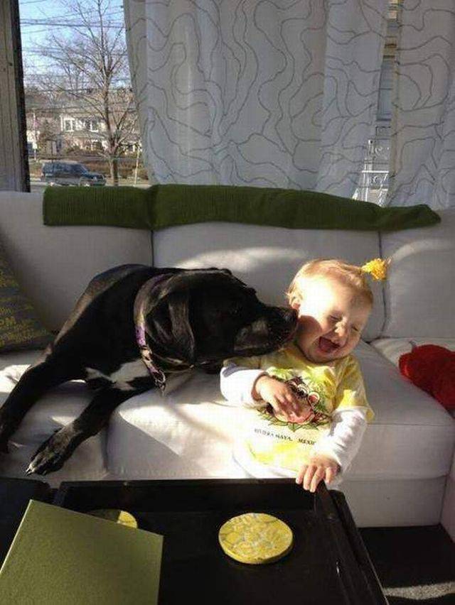 daily picdump 104 pics 13.html - 104 HD Photos | Premium Gallery 2017