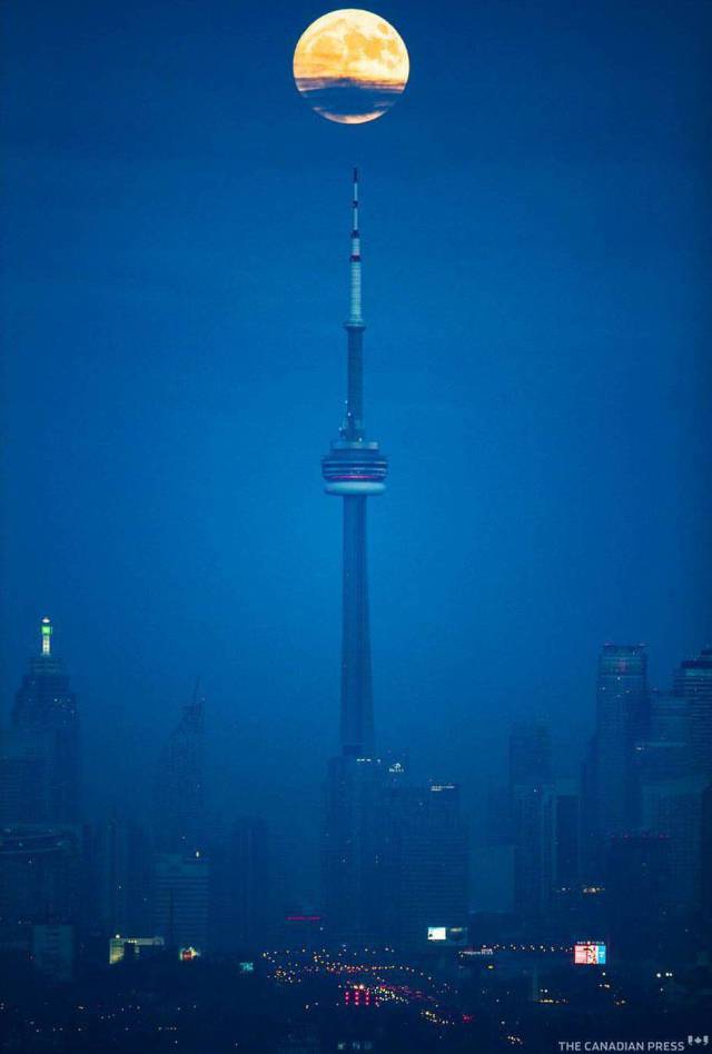 daily picdump 104 pics 13.html - 104 HD Photos | Premium Gallery 2017