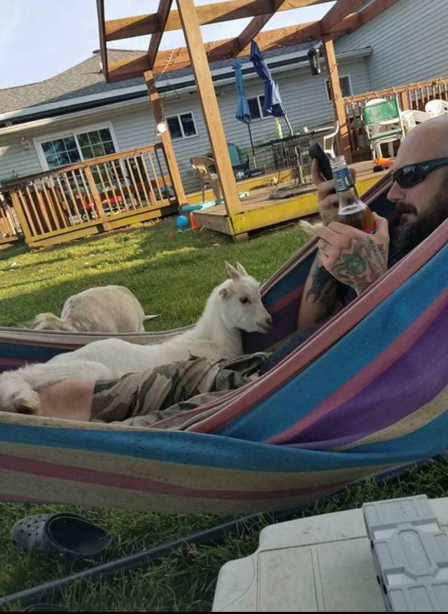 daily picdump 104 pics 13.html - 104 HD Photos | Premium Gallery 2017