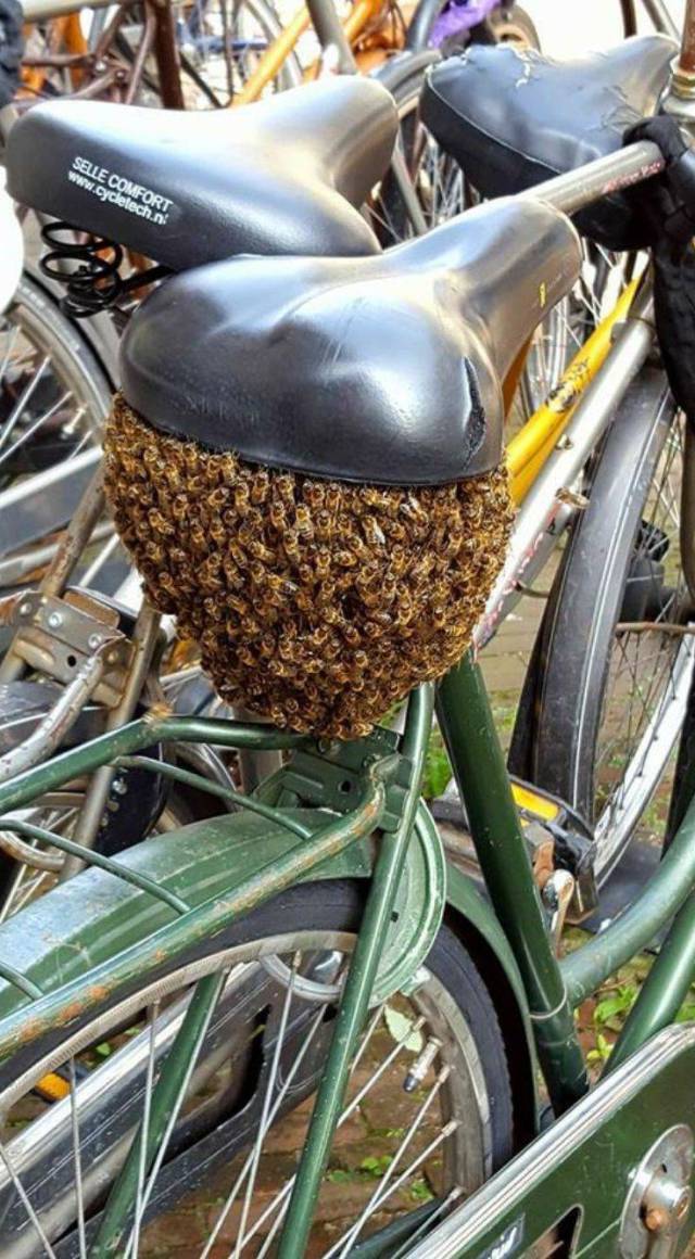 daily picdump 104 pics 13.html - 104 HD Photos | Premium Gallery 2017