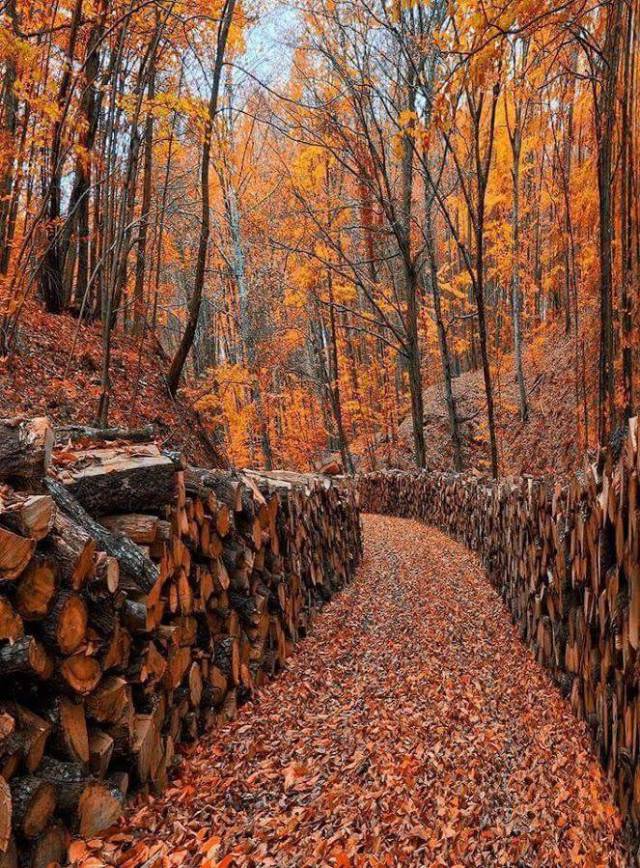 daily picdump 104 pics 13.html - 104 HD Photos | Premium Gallery 2017