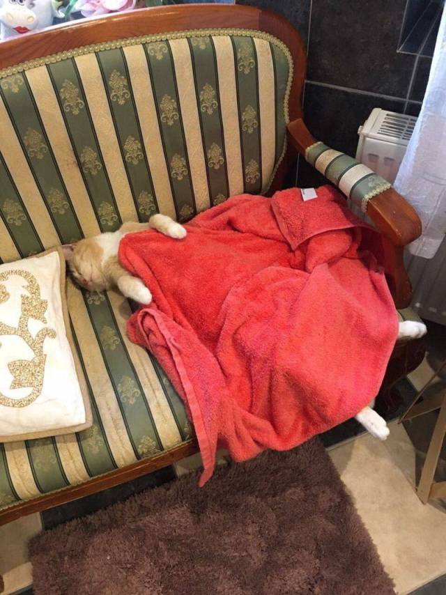 daily picdump 104 pics 13.html - 104 HD Photos | Premium Gallery 2017