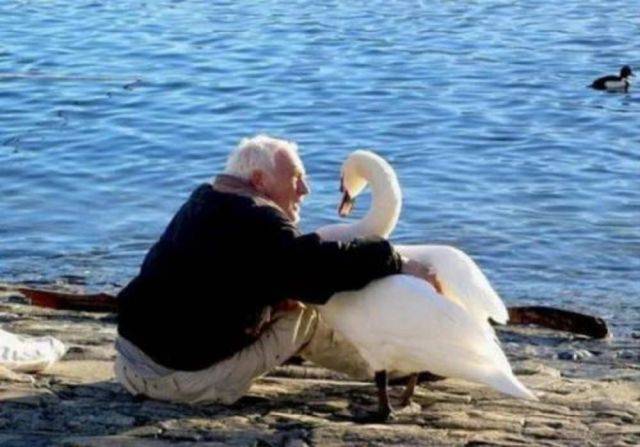 daily picdump 93 pics 41.html - 93 HD Photos | Premium Gallery 2017