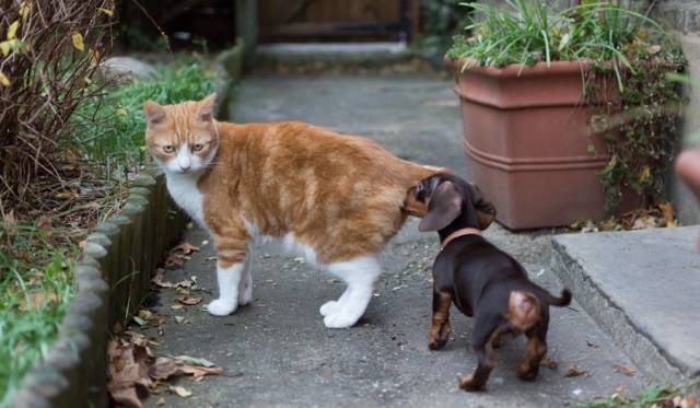 daily picdump 93 pics 41.html - 93 HD Photos | Premium Gallery 2017