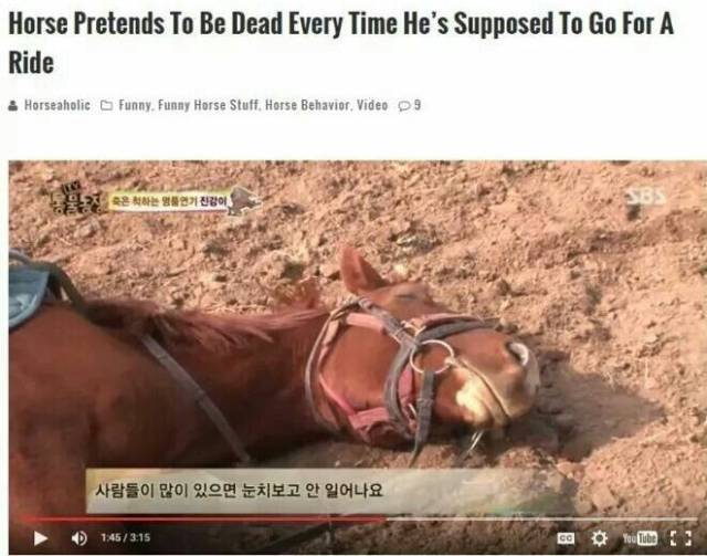 daily picdump 93 pics 41.html - 93 HD Photos | Premium Gallery 2017