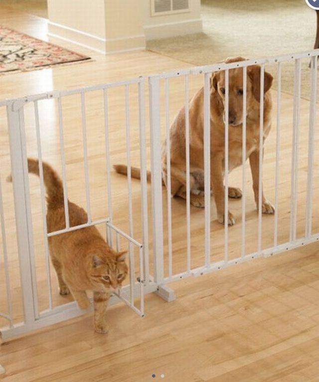 Jealousy Is Too Obvious Here