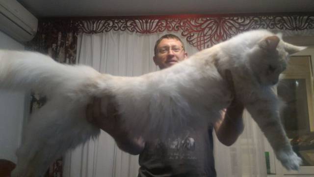 daily picdump 97 pics 3.html - 97 HD Photos | Premium Gallery 2017