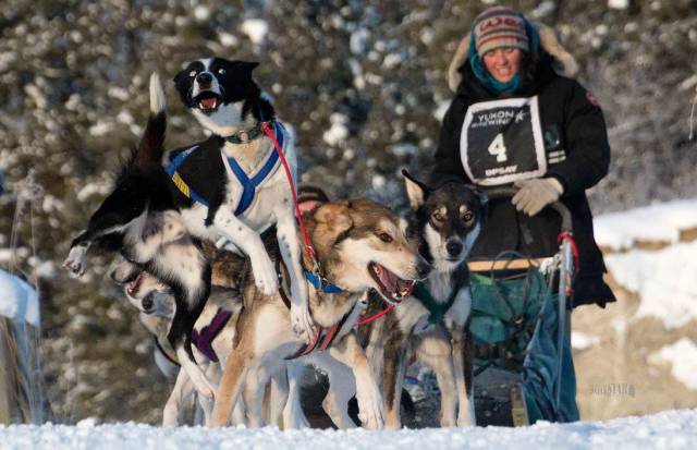 daily picdump 97 pics 3.html - 97 HD Photos | Premium Gallery 2017