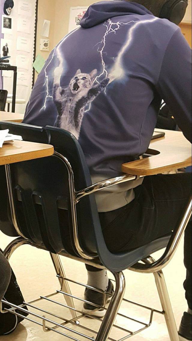 daily picdump 97 pics 3.html - 97 HD Photos | Premium Gallery 2017