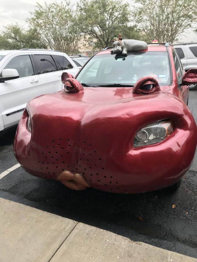 daily picdump 97 pics 3.html - 97 HD Photos | Premium Gallery 2017