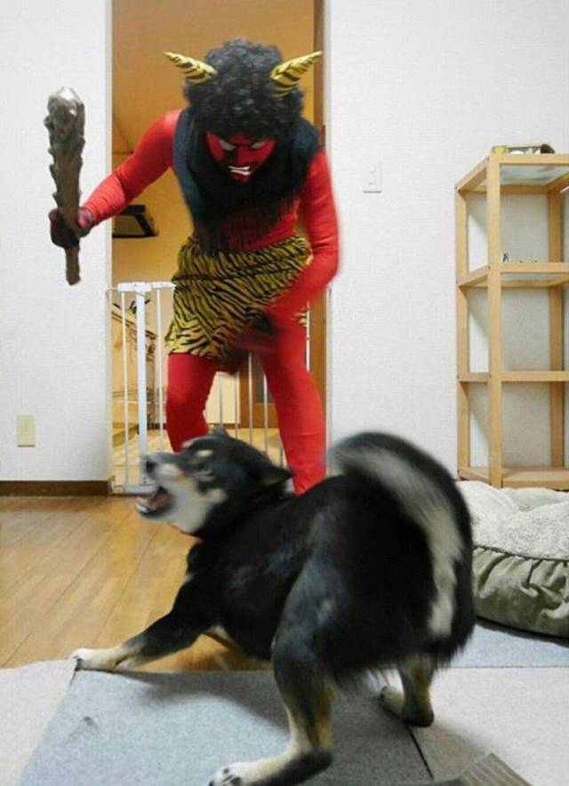 daily picdump 97 pics 3.html - 97 HD Photos | Premium Gallery 2017