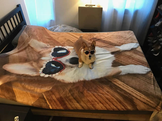 morning picdump 51 pics 22.html - 51 HD Photos | Premium Gallery 2017