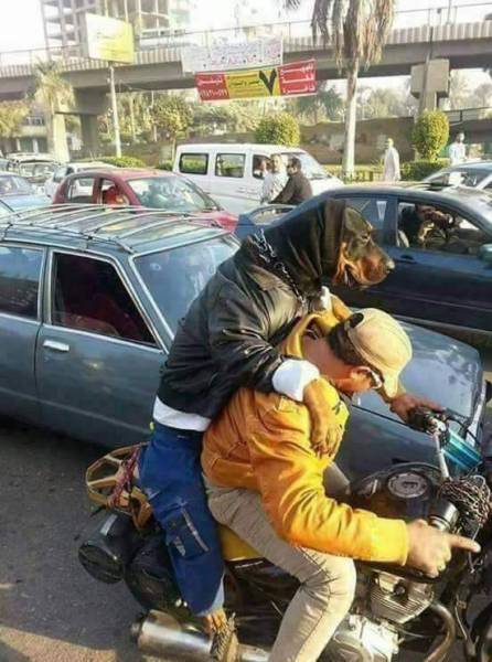 morning picdump 51 pics 22.html - 51 HD Photos | Premium Gallery 2017