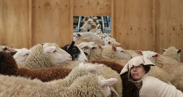 morning picdump 51 pics 22.html - 51 HD Photos | Premium Gallery 2017