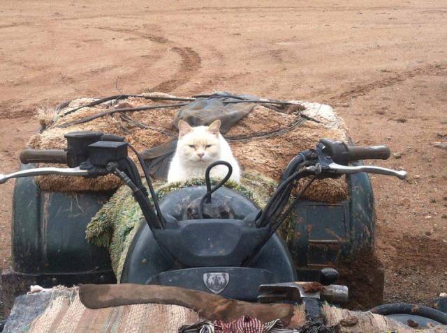 morning picdump 51 pics 22.html - 51 HD Photos | Premium Gallery 2017