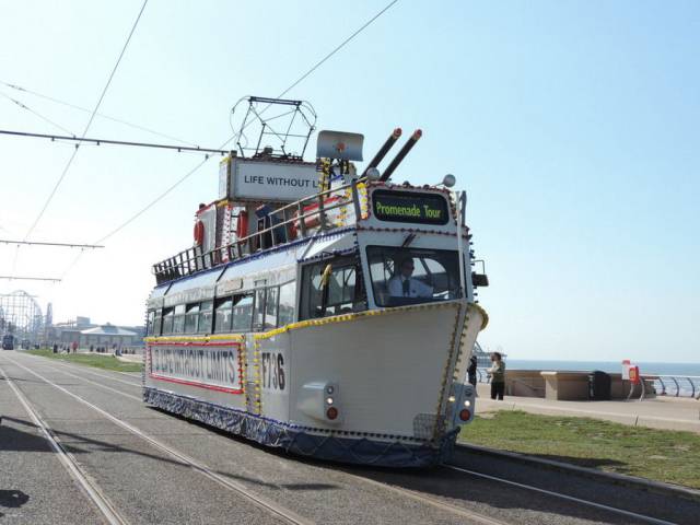 daily picdump 92 pics 3.html - 92 HD Photos | Premium Gallery 2017