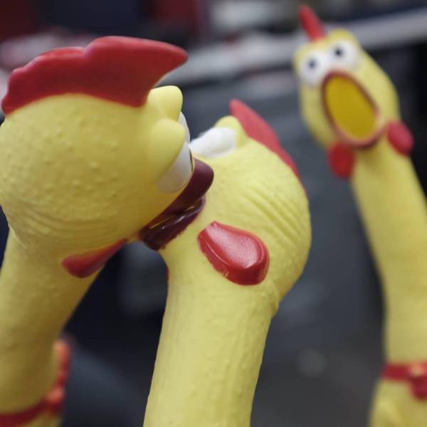 daily picdump 92 pics 3.html - 92 HD Photos | Premium Gallery 2017