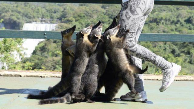 daily picdump 92 pics 3.html - 92 HD Photos | Premium Gallery 2017