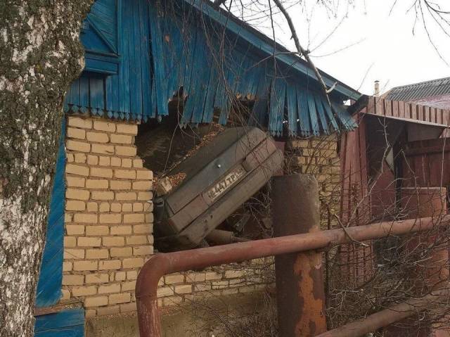 daily picdump 92 pics 3.html - 92 HD Photos | Premium Gallery 2017