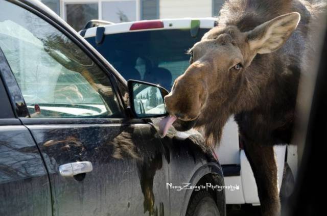 daily picdump 92 pics 3.html - 92 HD Photos | Premium Gallery 2017