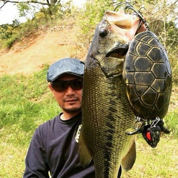 daily picdump 92 pics 3.html - 92 HD Photos | Premium Gallery 2017