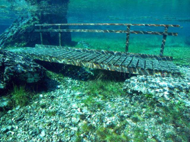 daily picdump 92 pics 3.html - 92 HD Photos | Premium Gallery 2017