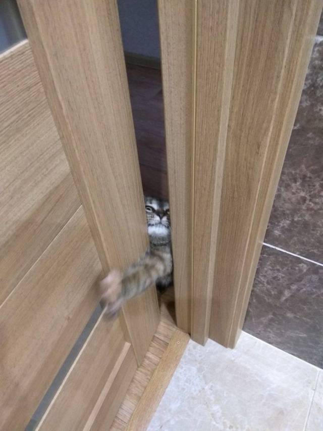 daily picdump 92 pics 3.html - 92 HD Photos | Premium Gallery 2017