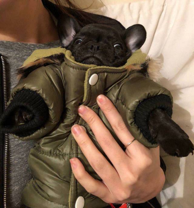 daily picdump 92 pics 3.html - 92 HD Photos | Premium Gallery 2017