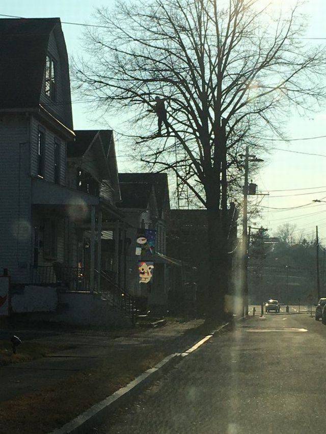 daily picdump 92 pics 3.html - 92 HD Photos | Premium Gallery 2017