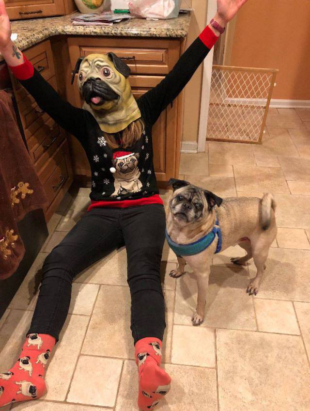 daily picdump 92 pics 3.html - 92 HD Photos | Premium Gallery 2017