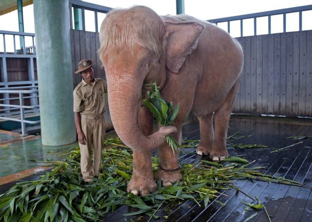 morning picdump 51 pics 24.html - 51 HD Photos | Premium Gallery 2017