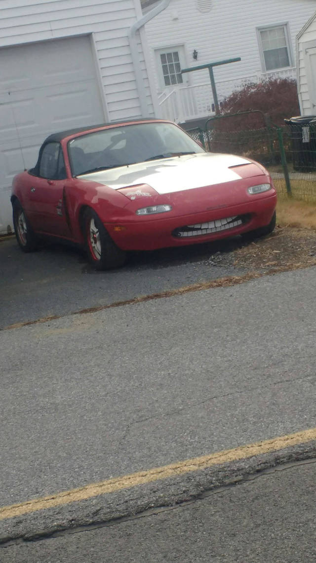 morning picdump 51 pics 24.html - 51 HD Photos | Premium Gallery 2017