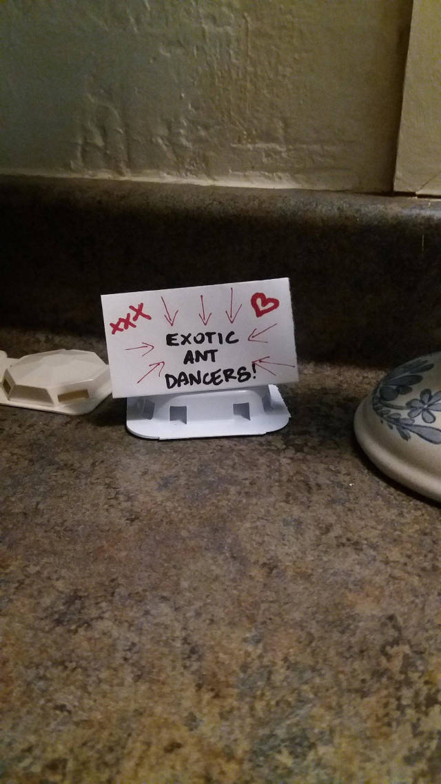 morning picdump 51 pics 24.html - 51 HD Photos | Premium Gallery 2017