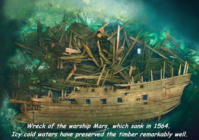 daily picdump 88 pics 7.html - 88 HD Photos | Premium Gallery 2017