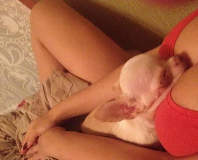 daily picdump 88 pics 7.html - 88 HD Photos | Premium Gallery 2017