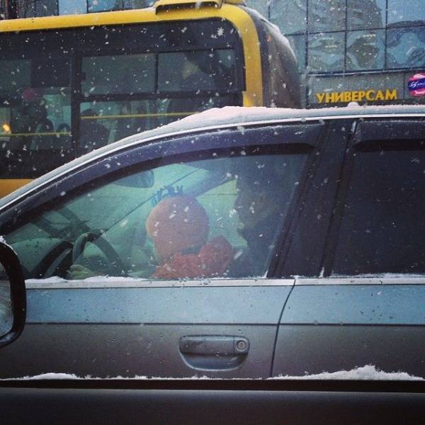 daily picdump 88 pics 7.html - 88 HD Photos | Premium Gallery 2017