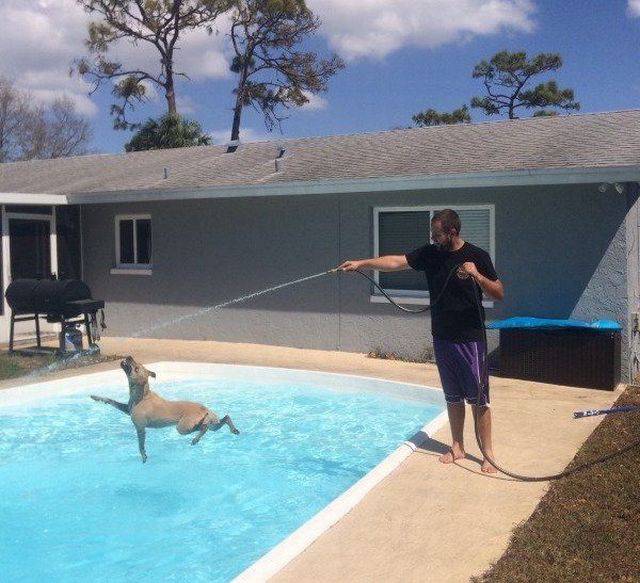 daily picdump 88 pics 7.html - 88 HD Photos | Premium Gallery 2017