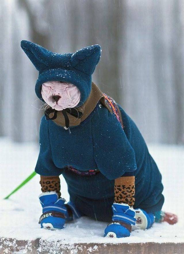 daily picdump 88 pics 7.html - 88 HD Photos | Premium Gallery 2017