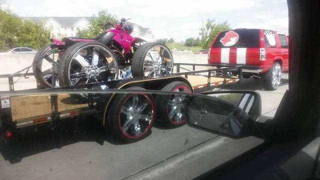 morning picdump 50 pics 1.html - 50 HD Photos | Premium Gallery 2017