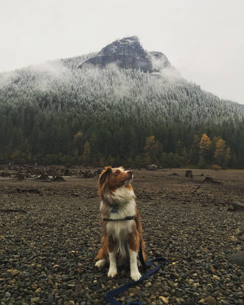 morning picdump 50 pics 1.html - 50 HD Photos | Premium Gallery 2017