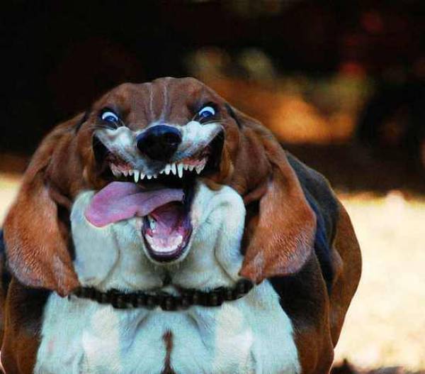 morning picdump 50 pics 1.html - 50 HD Photos | Premium Gallery 2017