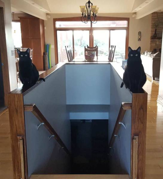 daily picdump weekend edition 50 pics 21.html - 50 HD Photos | Premium Gallery 2017