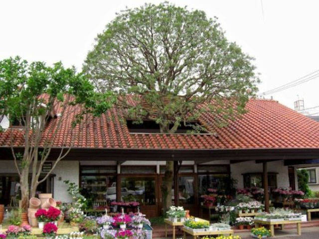 daily picdump weekend edition 50 pics 21.html - 50 HD Photos | Premium Gallery 2017