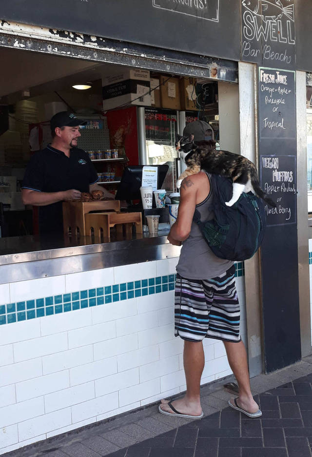 daily picdump weekend edition 50 pics 21.html - 50 HD Photos | Premium Gallery 2017