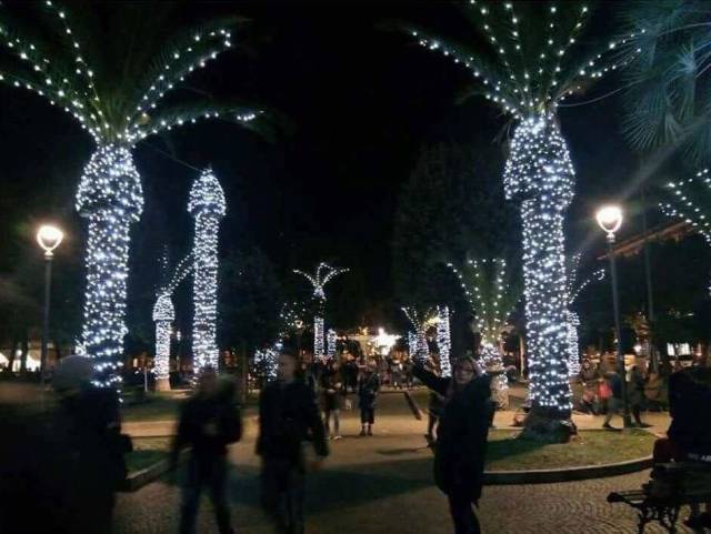 daily picdump 102 pics 3.html - 102 HD Photos | Premium Gallery 2017